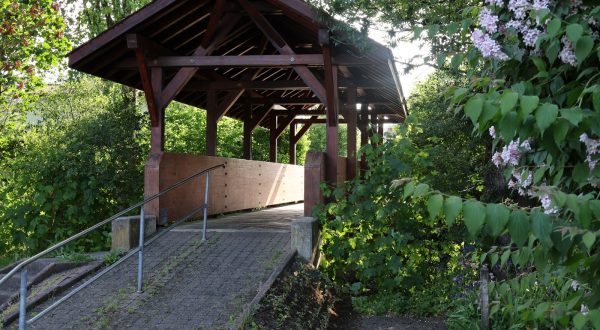 Passerelle en bois sur La Sorne à Bassecourt